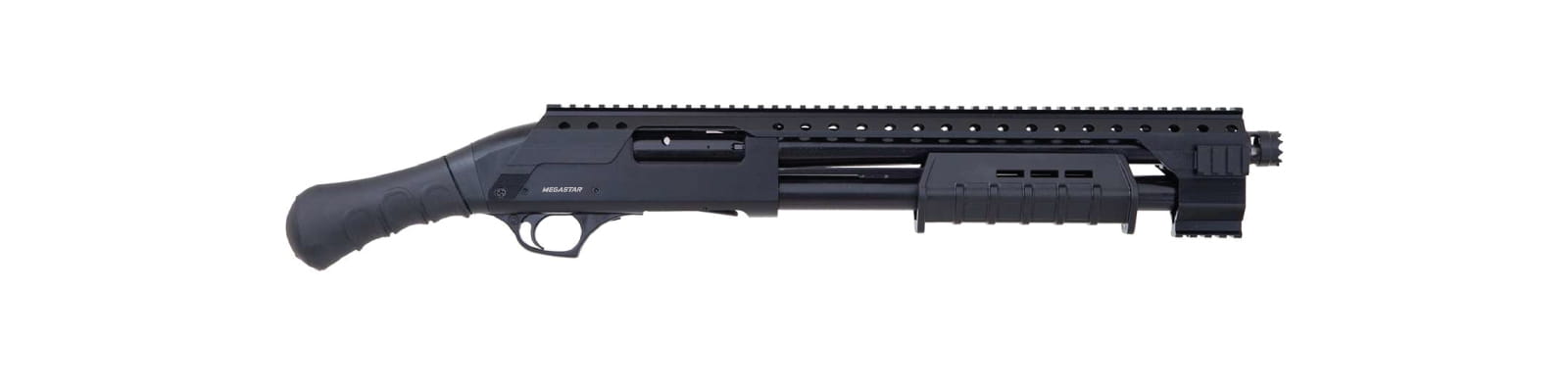 MS-P12X-01