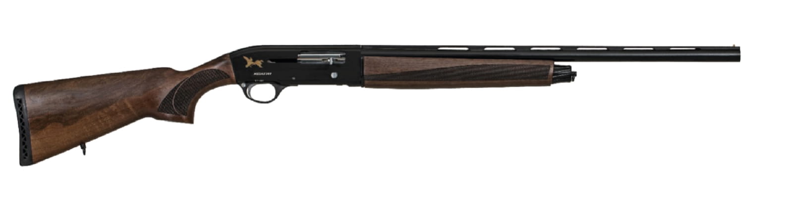MS-S20-01